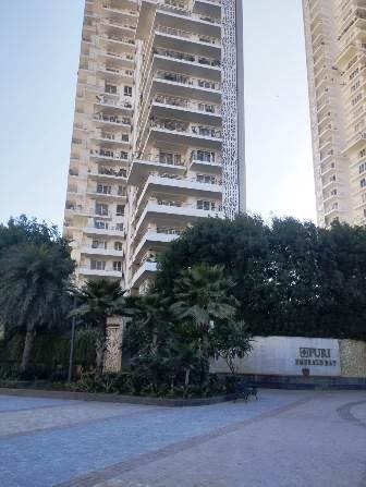 3 bhk flat for rent in emerald bay